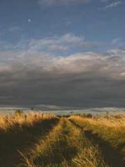 The Imperial Concubi