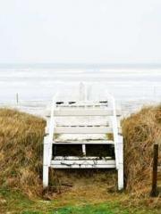 Super husband Lin Xi