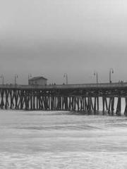 The young masterapos