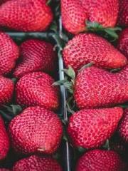 Cultivating My Empre