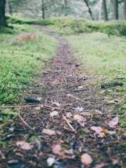 Fast Travel: The Vil