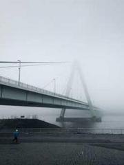 Professor Yan is goi