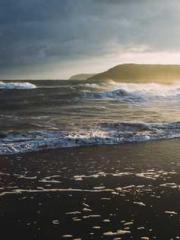 lt;Ye Qingyun, Tiany