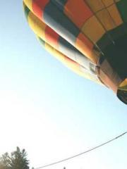 Bones-Eating Marriag