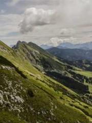 Grave Robbing: Openi