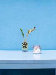 lt;Dragon King Legen