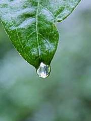 Grandpa Fuapos;s Ful