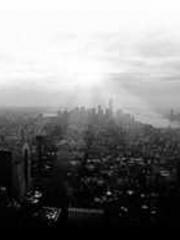 lt;lt;The Trash Husb