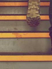 Mr. Gu, your wife is