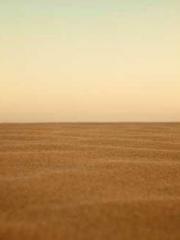 Double Blessing: CEO