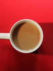 lt;lt;The Trash Husb