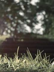 Ling Hao Qin Yuxin R