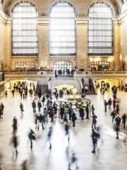 Li Qingqing and Zhao