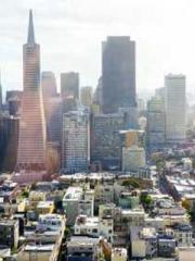 Wine, sex, money and