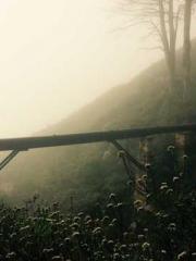 My Amazing Female Te