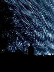 Mr. Gu, your wife is