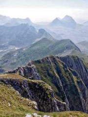 My Amazing Female Te