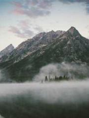 lt;Gingerly, Shen Qi