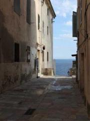 Shocking! This prota