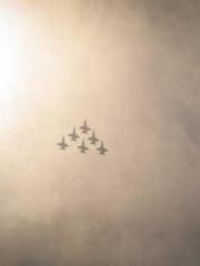 The Favorite Concubi