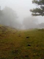 The Undefeated Son-i